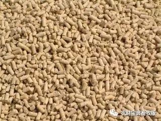 討要飼料款遇“神逆轉”，養殖戶反訴飼料致生豬死亡